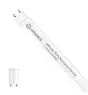 Ledvance Rura LED T8 Performance (EM/Mains) High Output 7.5W 1100lm - 840 Zimna Biel | 60cm - Ściemnianie - Zamienne 18W