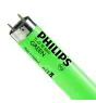 Philips MASTER TL-D 58W - Zielony | 150cm