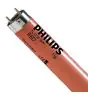 Philips MASTER TL-D 36W - Czerwony | 120cm