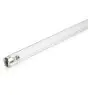 Philips T8 UV - C 55W - Ultrafioletowy | 90cm