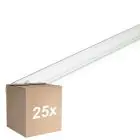 Opakowanie 25x Philips T8 UV - C 25W - Ultrafioletowy | 44cm